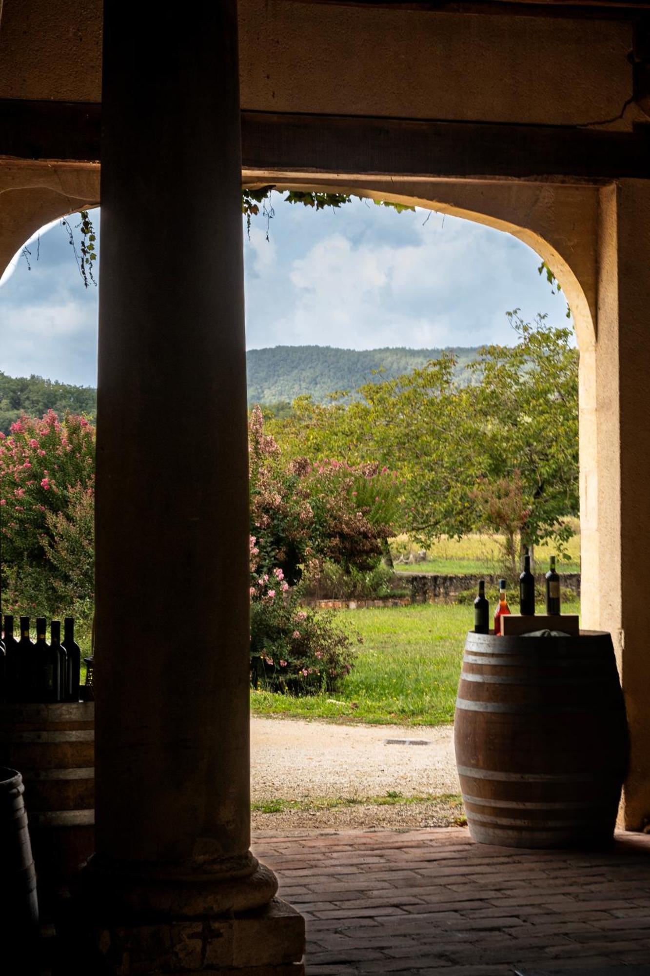 Chateau La Gineste - Castle And Vineyard Duravel Exterior foto